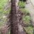 Henderson Drainage Solutions by Associates Landscape & Design